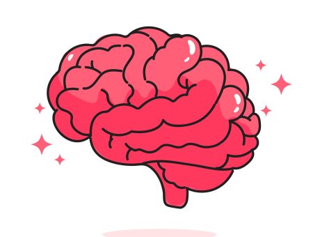 Brain_human_anatomy_biology_organ_body_system_health_care_and_medical_hand_drawn_cartoon_art_illustration